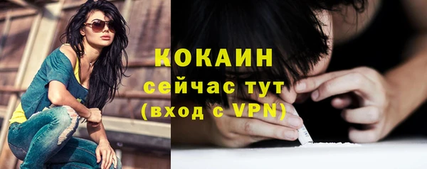 кокс Арсеньев
