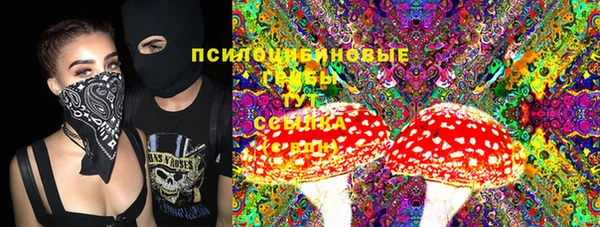 тгк Аркадак